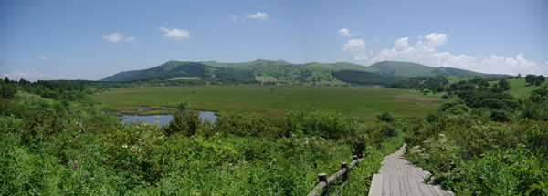 夏の八島湿原